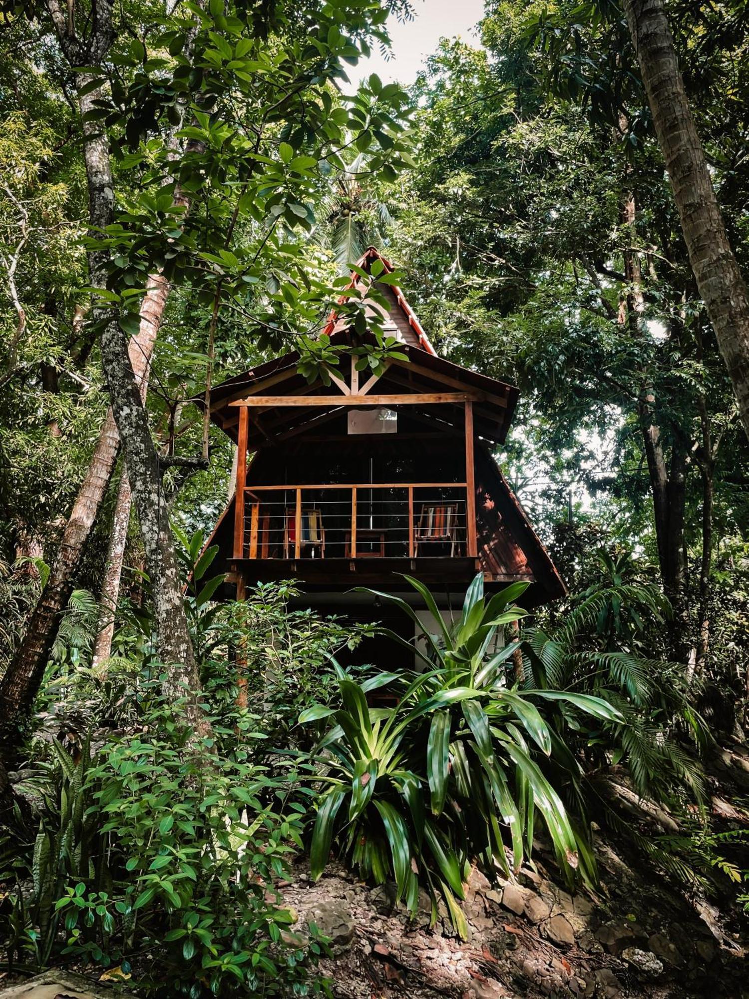 Calala Lodge Cabuya  ภายนอก รูปภาพ